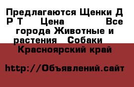 Предлагаются Щенки Д.Р.Т.  › Цена ­ 15 000 - Все города Животные и растения » Собаки   . Красноярский край